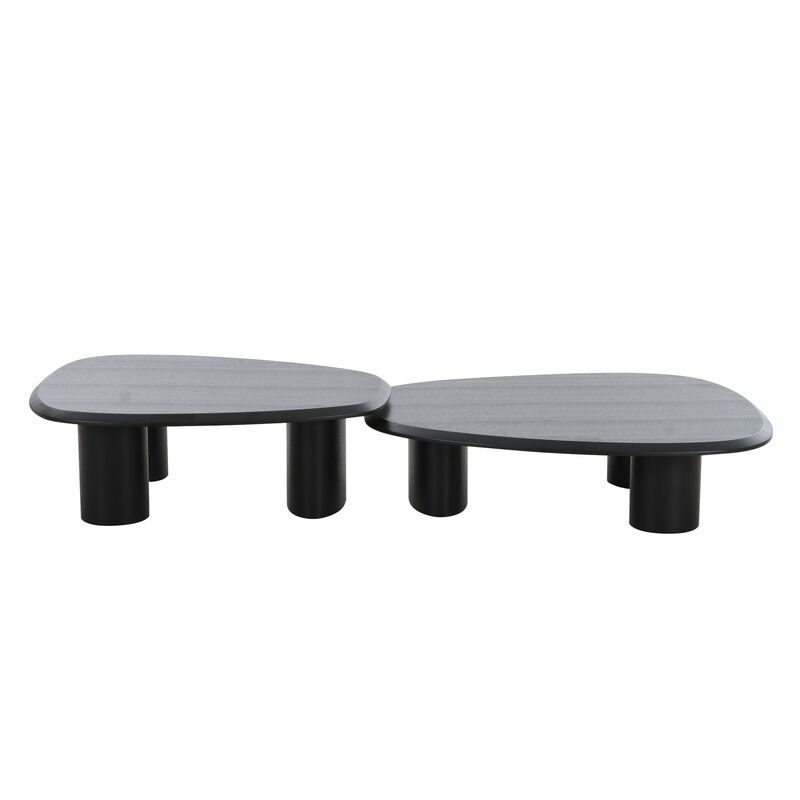 Cid Sami Coffee Table, Set of 2, Freeform Shape, Black Solid Wood Frame