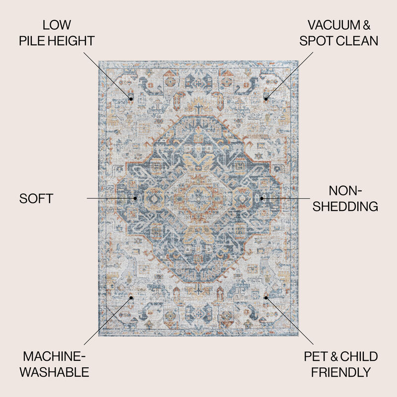 Shaemus Bohemian Medallion Low-Pile Machine-Washable Area Rug