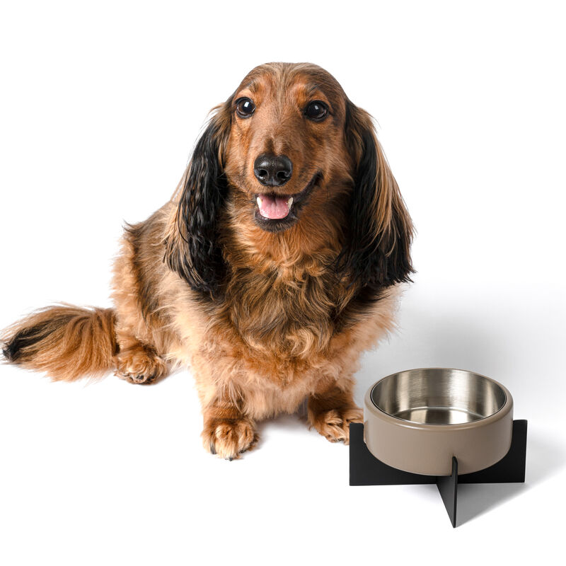 Intersecta Concrete and Stainless Steel Bowl 16oz (2 Cups) with Metal Stand Pet Feeder image number 4