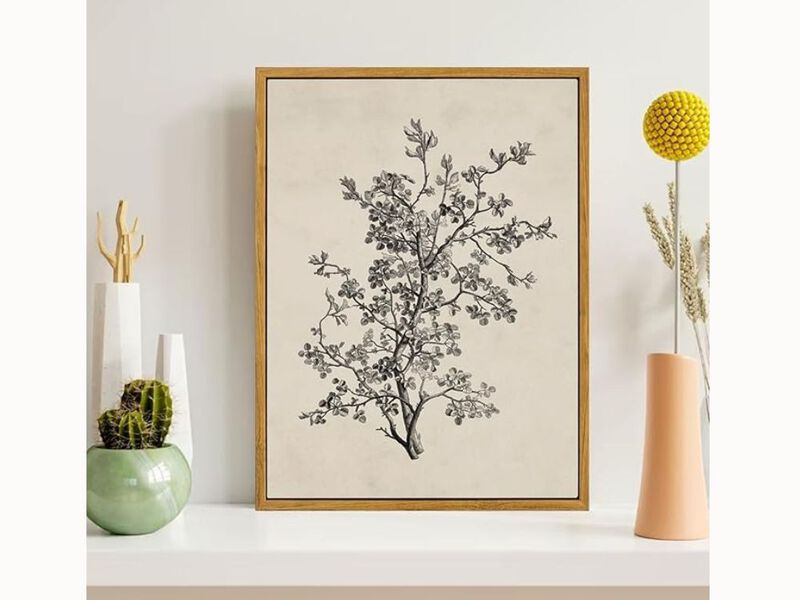 Framed Vintage Botanical Wall Art &ndash; Minimalist Nature Prints for Living Room, Kitchen & Office D&eacute;cor, 16&times;24