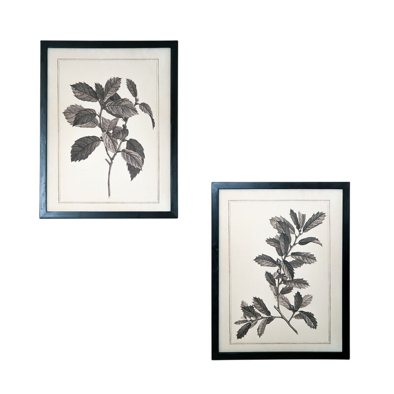 HomeRoots Set of Two Black And White Botanical Leaves Framed Art image number 0