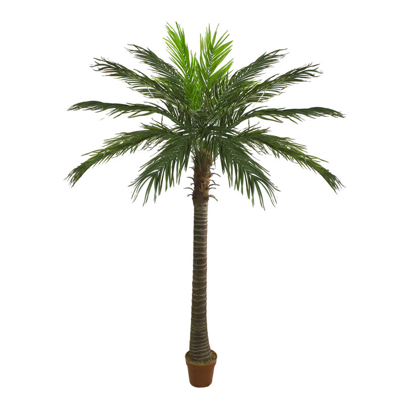 70" Green and Brown Potted Artificial Phoenix Palm Tree