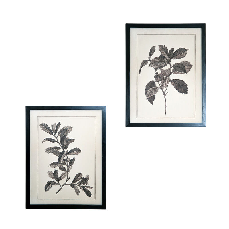 HomeRoots Set of Two Black And White Botanical Leaves Framed Art image number 4