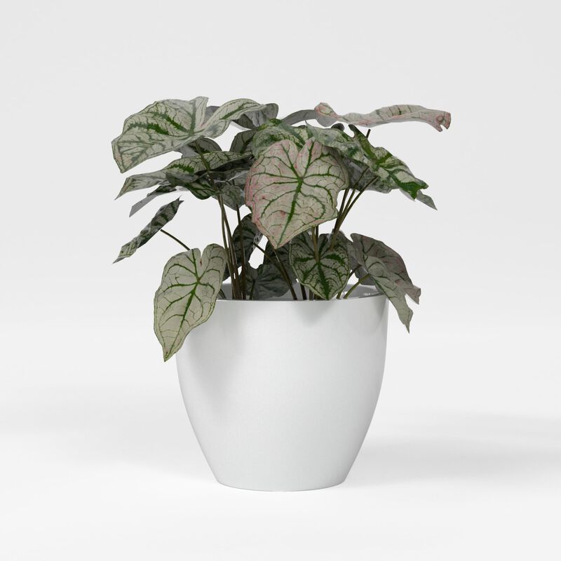 Greenline Fiberglass Lucy Large Indoor/Outdoor Round Planter