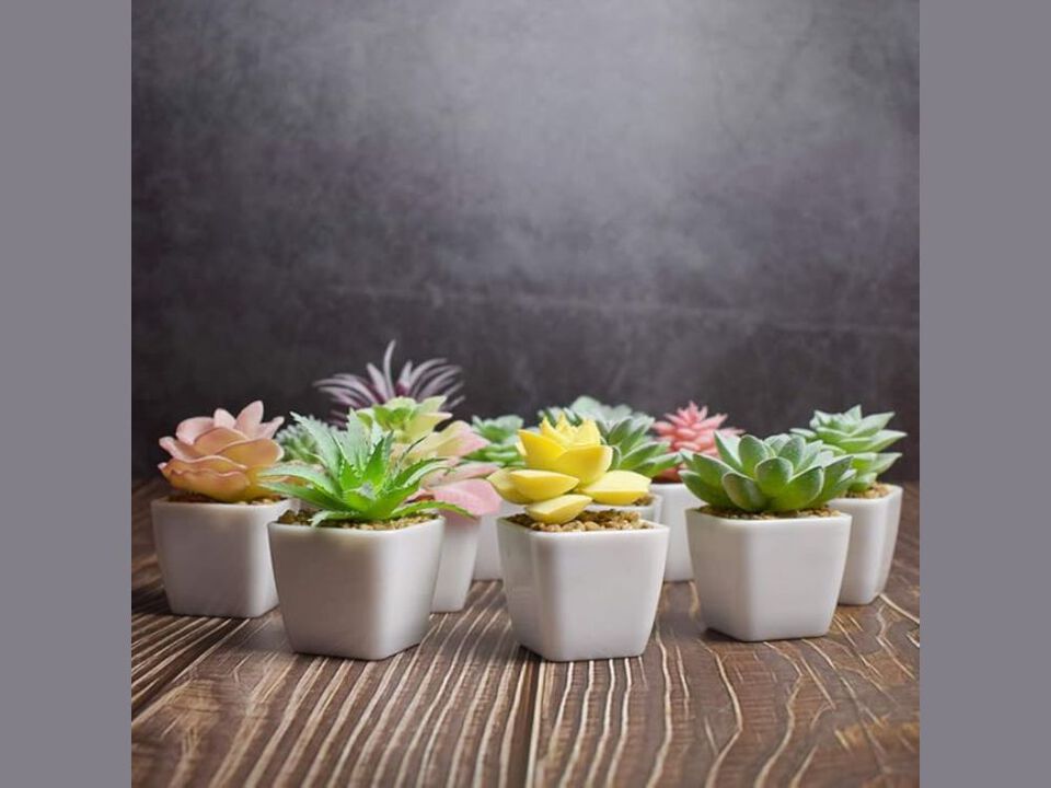 Artificial Succulent Plants Outdoor Home Decor Succulents Pots