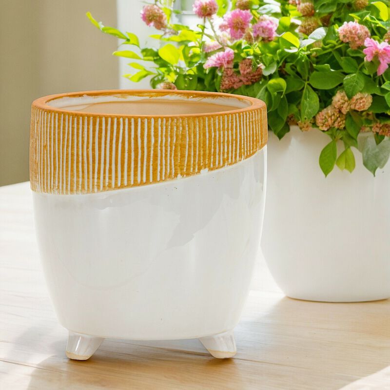 Dual Tone Planter for Modern Plant Display and Home D&eacute;cor