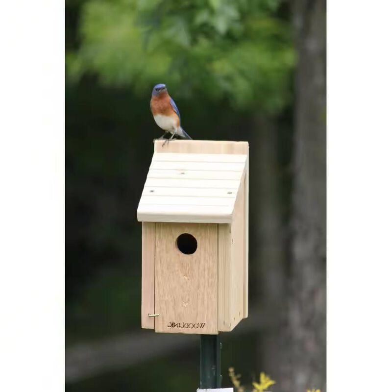 Hivvago Cedar Wood Birdhouse - Ideal for Eastern Western and Mountain Bluebirds