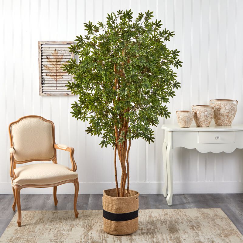 HomPlanti 6 Feet Japanese Maple Artificial Tree in Handmade Natural Cotton Planter
