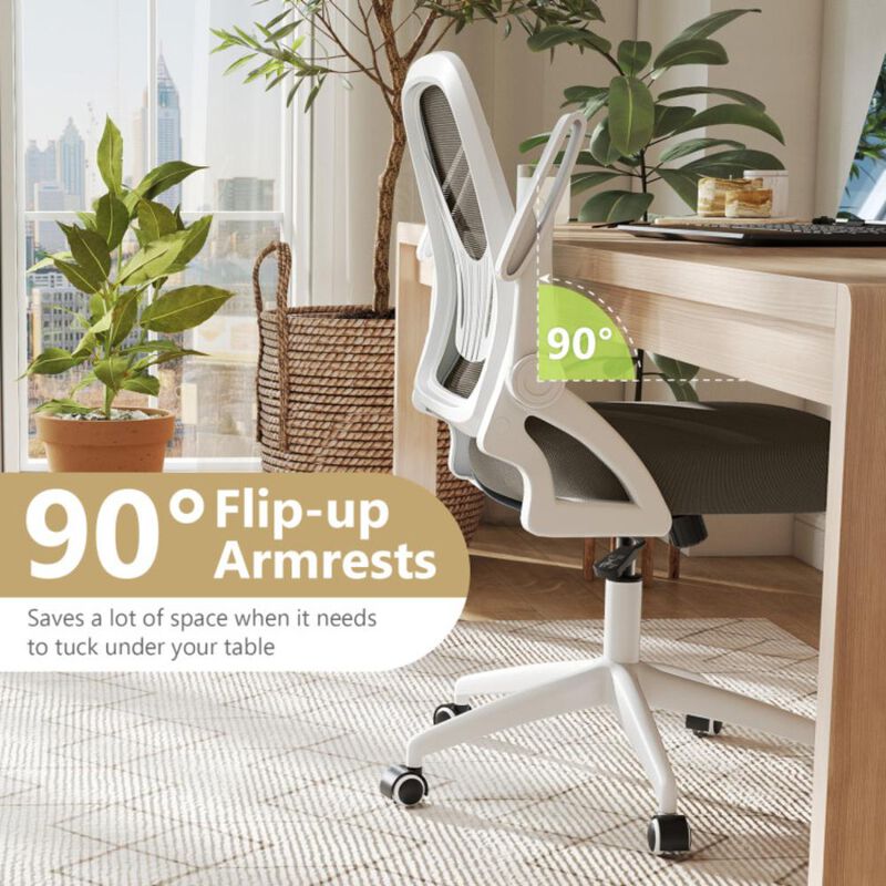 Hivvago Ergonomic Computer Desk Chair with Lumbar Support and Flip-up Arms