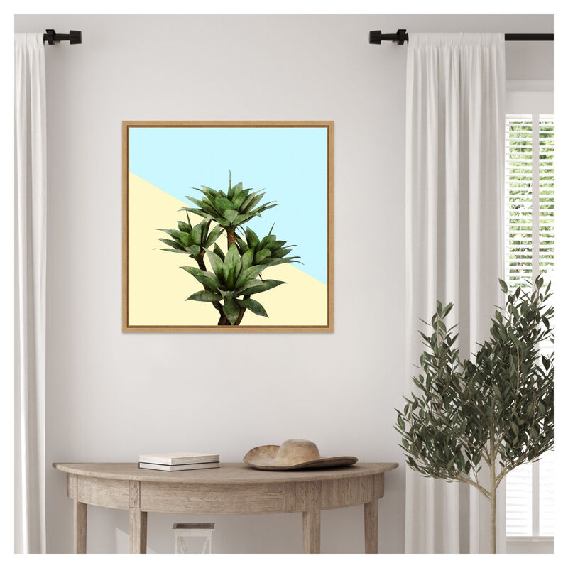 Agave 02 by Amini54 Framed Canvas Wall Art image number 4