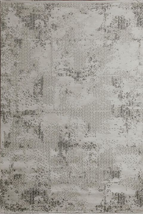 HomeRoots Abstract Distressed Area Rug With Fringe