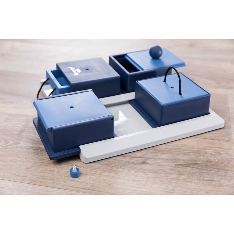 TRIXIE Dog Activity Poker Box 1 Strategy Game, Level 2 Dog Puzzle Toy, Treat Dispenser image number 7