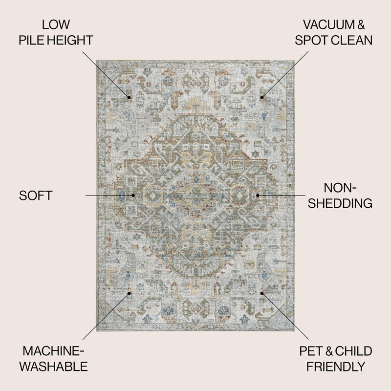 Shaemus Bohemian Medallion Low-Pile Machine-Washable Area Rug