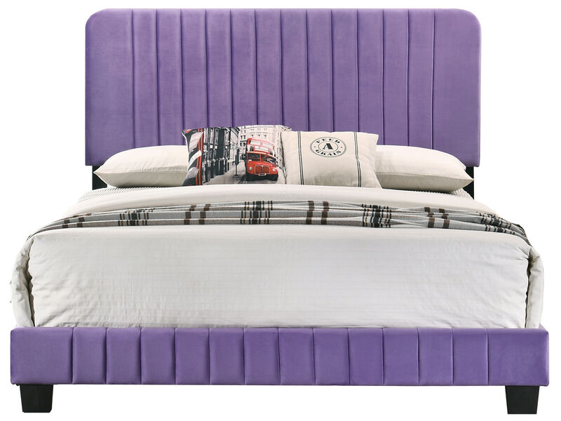 Lodi Velvet Upholstered Channel Tufted Queen Panel Bed