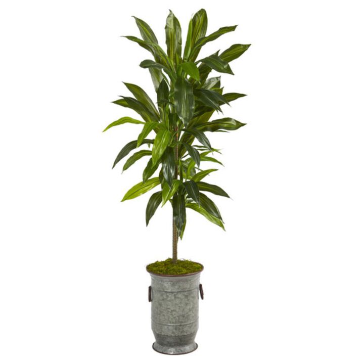 HomPlanti 4" Dracaena Artificial Plant in Vintage Metal Planter (Real Touch)