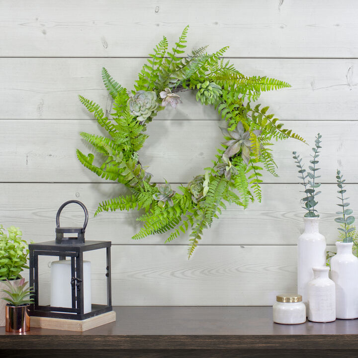 Succulents and Foliage Artificial Spring Twig Wreath  Green - 22-Inch