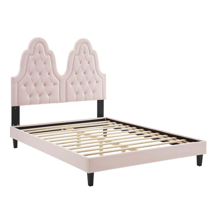 Modway Alexandria Tufted Performance Velvet Twin Platform Bed MOD-6933-PNK
