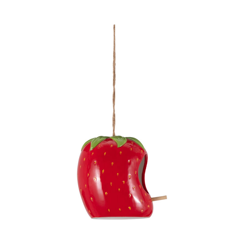 Strawberry Bird House/Feeder image number 2