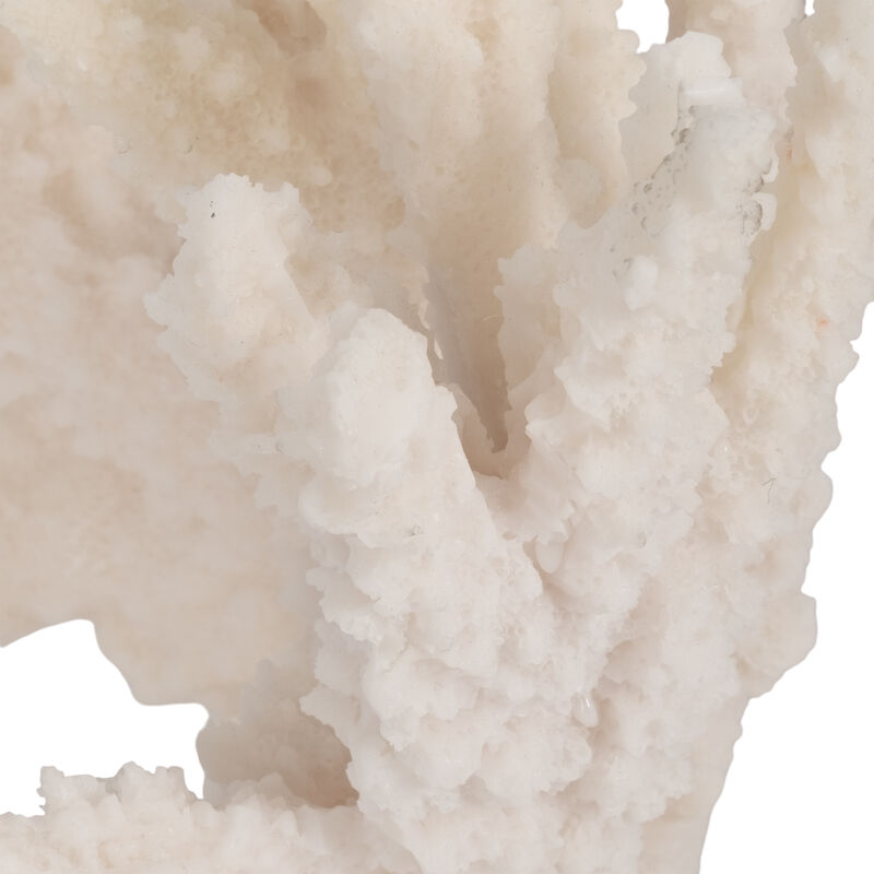 10" Coral Reef Decor, White image number 5