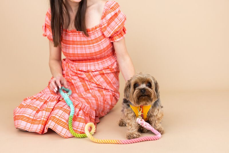 Kenna Dog Harness image number 1