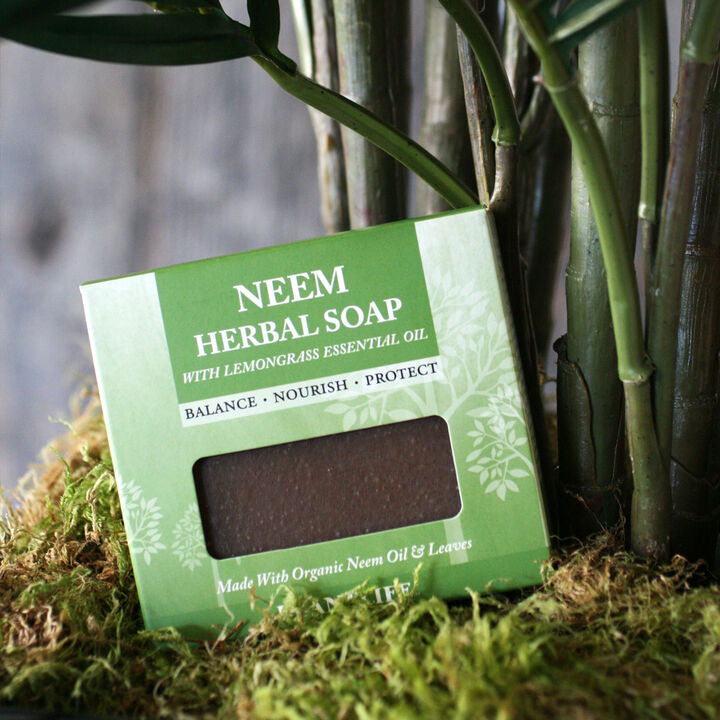 Plantlife Bar Soap - Neem 3 Pack