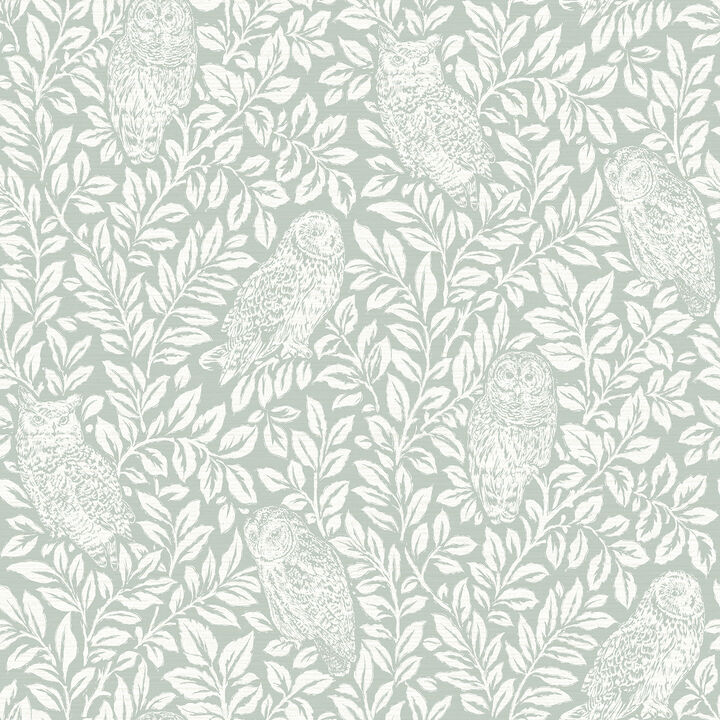 Parliament Teal Owl Wallpaper (Set of 2)