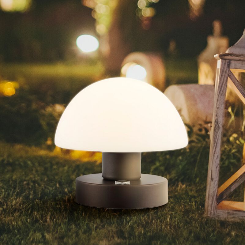 Zoe Bohemian Farmhouse Iron Rechargeable Integrated LED Table Lamp