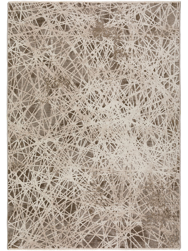 Denizi DZ4 Collection