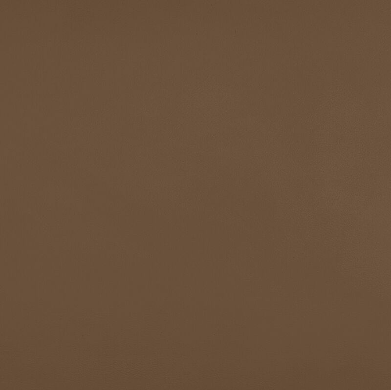 Meridian Furniture Rumble Brown Vegan Leather Bench