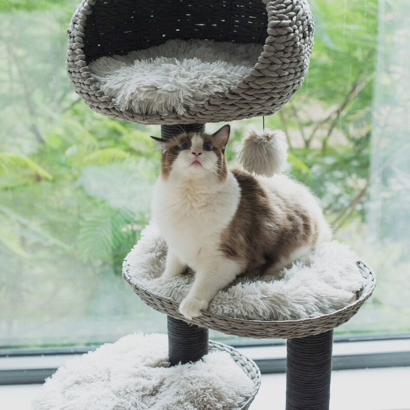 Petpals 50-in Tundra Cat Tree, Grey