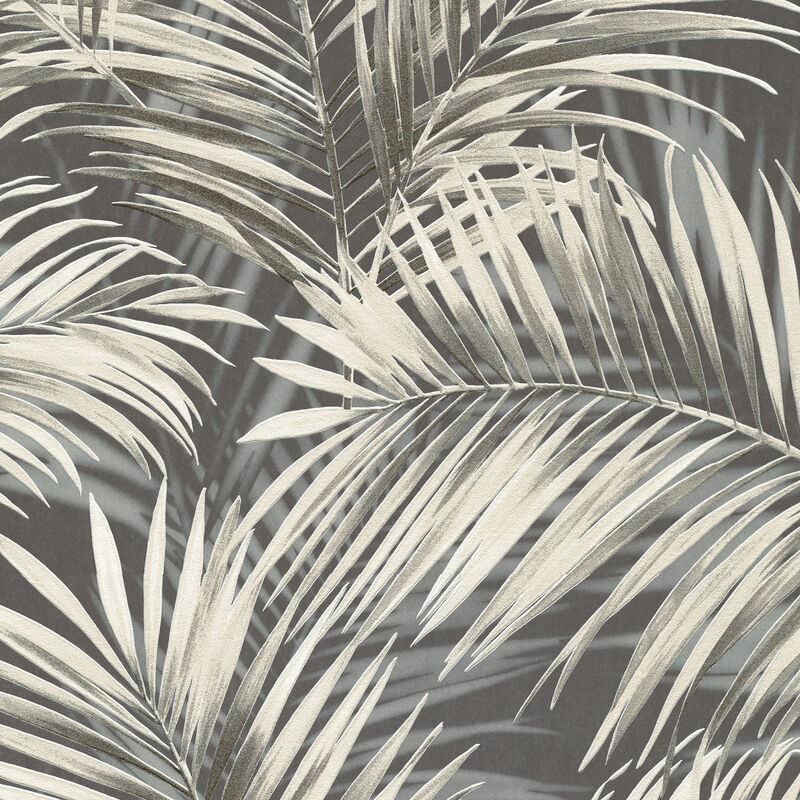 Calvado Palm Wallpaper image number 0