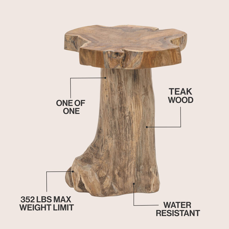 Amara Rustic Modern Handcrafted Live Edge Solid Teak Wood Stump Stool image number 2