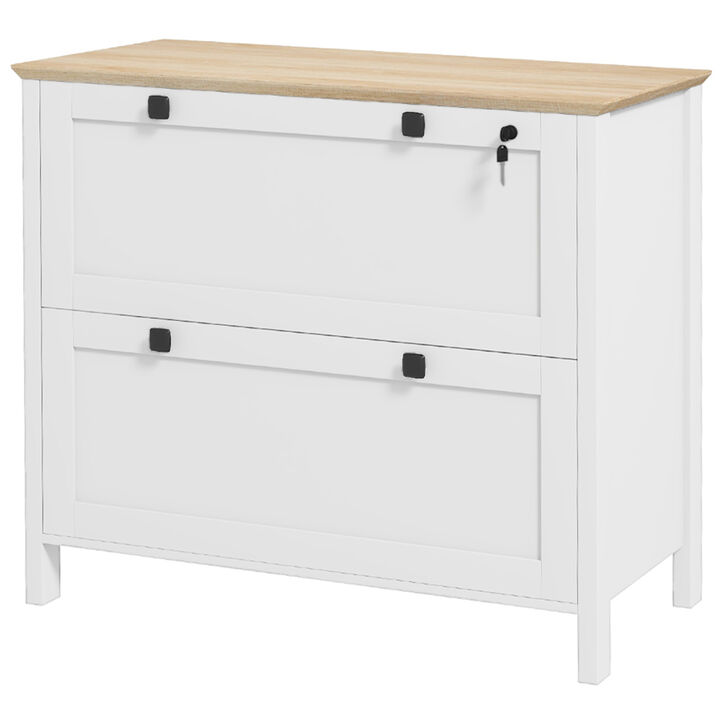 Hivvago 2-Drawer Lateral File Cabinet with Adjustable Hanging Rails