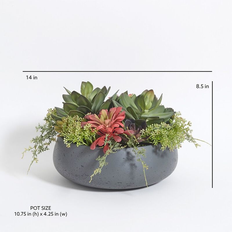 Round Artificial Succulent Arrangement, Gray Planter image number 7