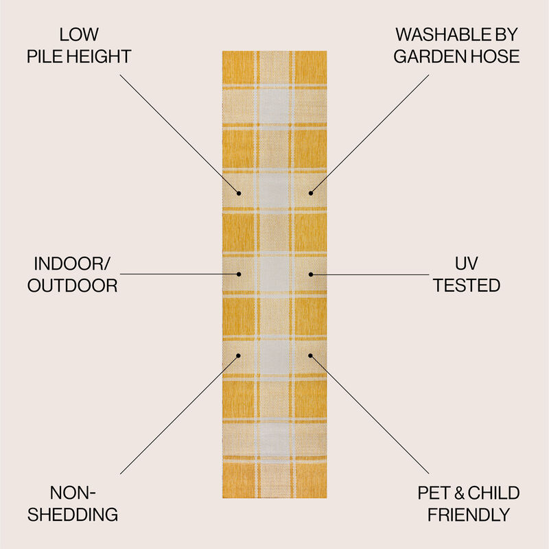 Sabine Traditional Farmhouse Bold Gingham Indoor/Outdoor Area Rug