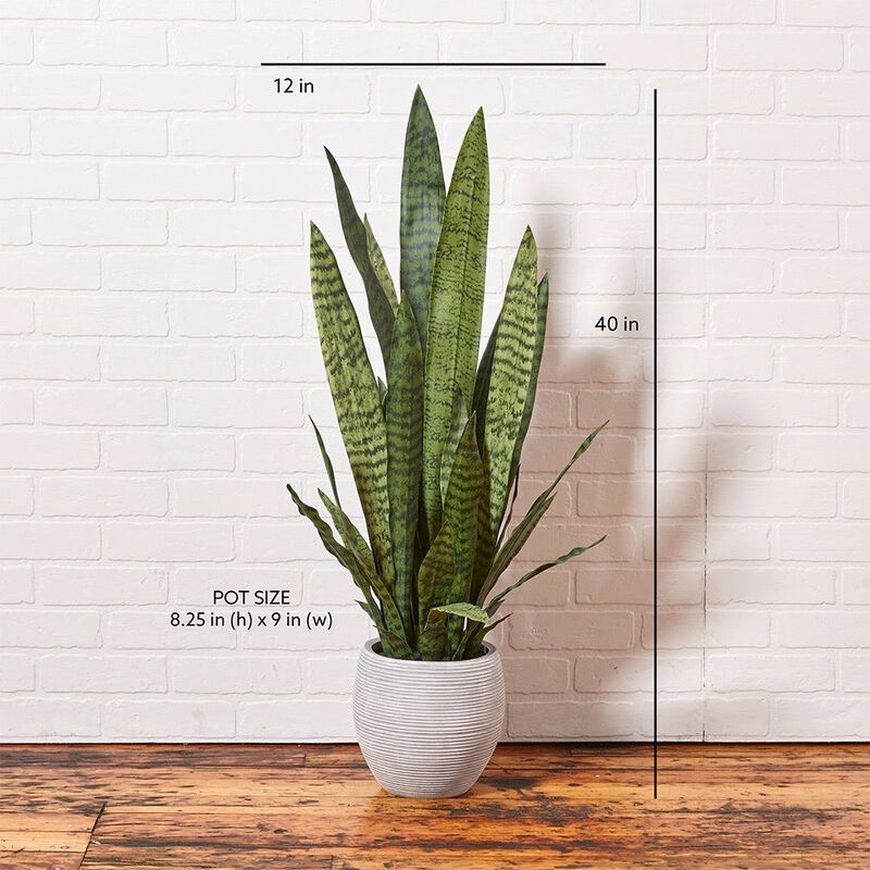 Artificial Snake Plant with Artisan Planter image number 8