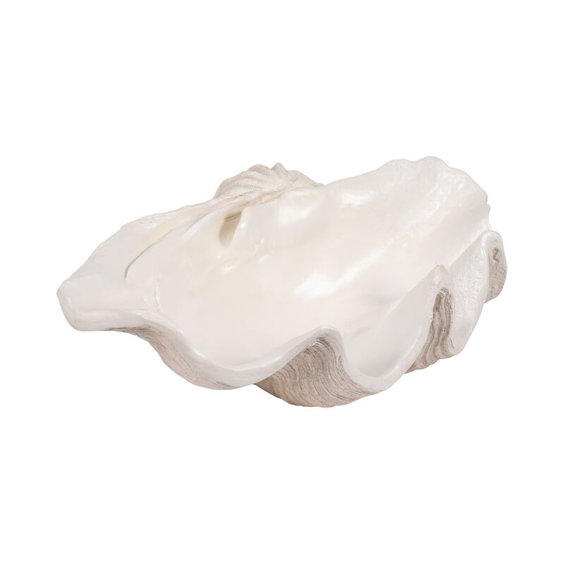 25" Pearlized Clam Shell Bowl image number 2
