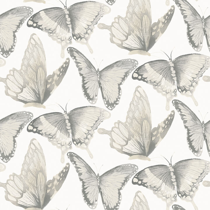 Janetta Grey Butterfly Wallpaper