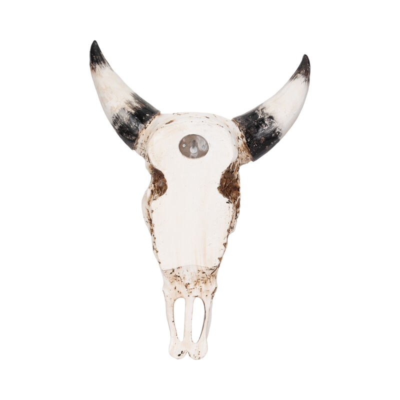 19" Western Bull Skull, Brown image number 4