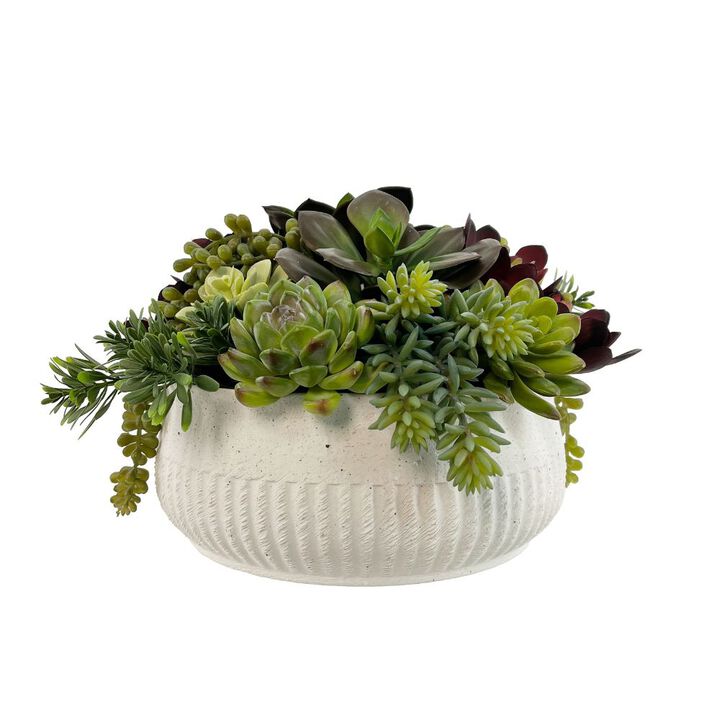 12" Succulent Arrangement