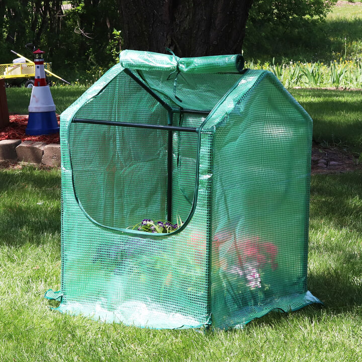Sunnydaze 2 x 2 ft Steel PVC Panel Mini Greenhouse with 2 Doors - Green