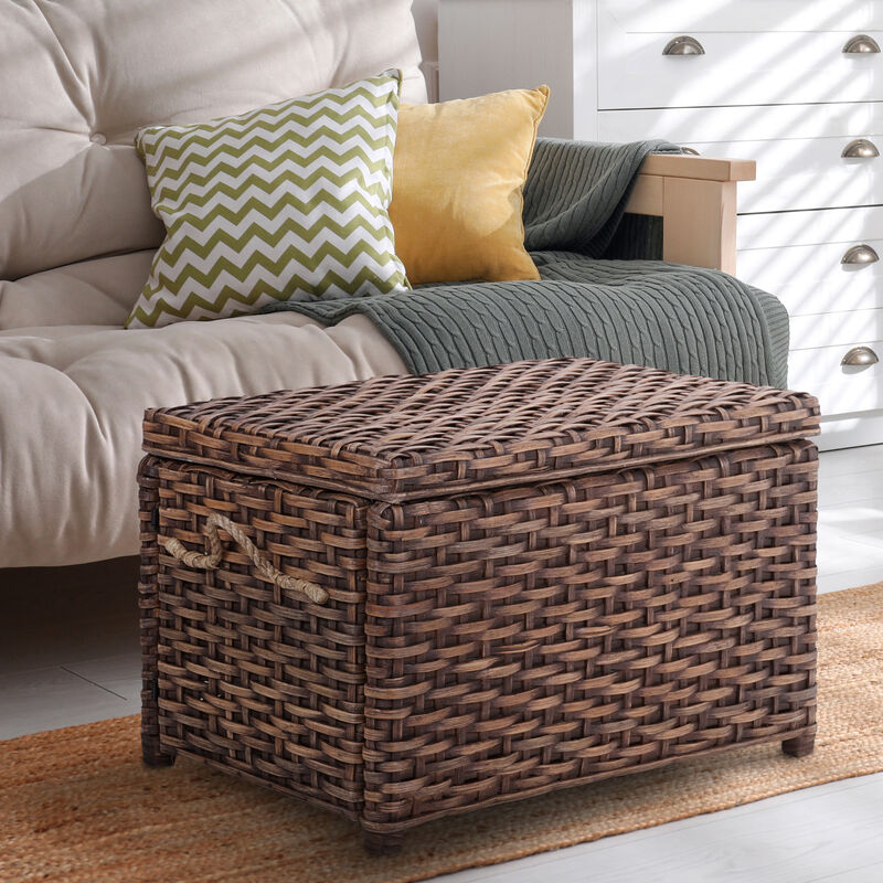 Jacob Wicker Storage Trunk