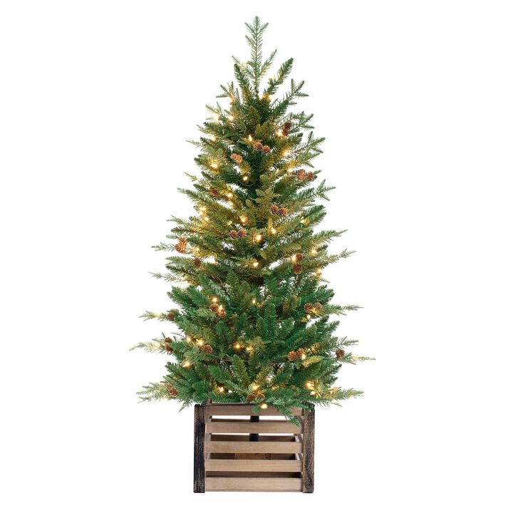 4 Foot Pre-lit Asheville Artificial Fir Christmas Potted Tree