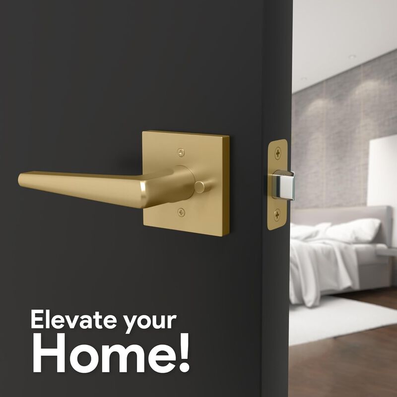 Mega Handles | Schein Privacy Lever