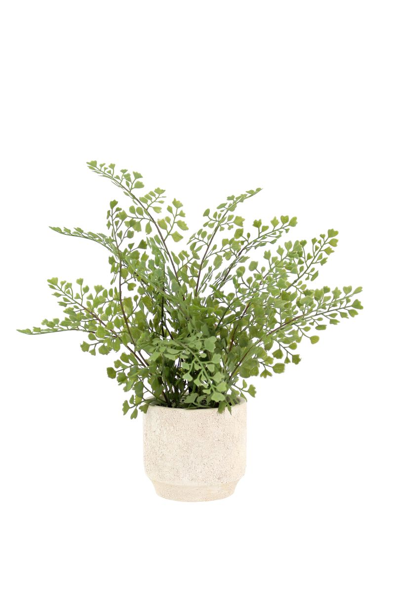 16" Faux Snake Plant & Fern Set image number 6