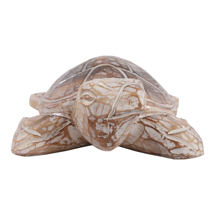 12x8" Alibizia Wood Turtle