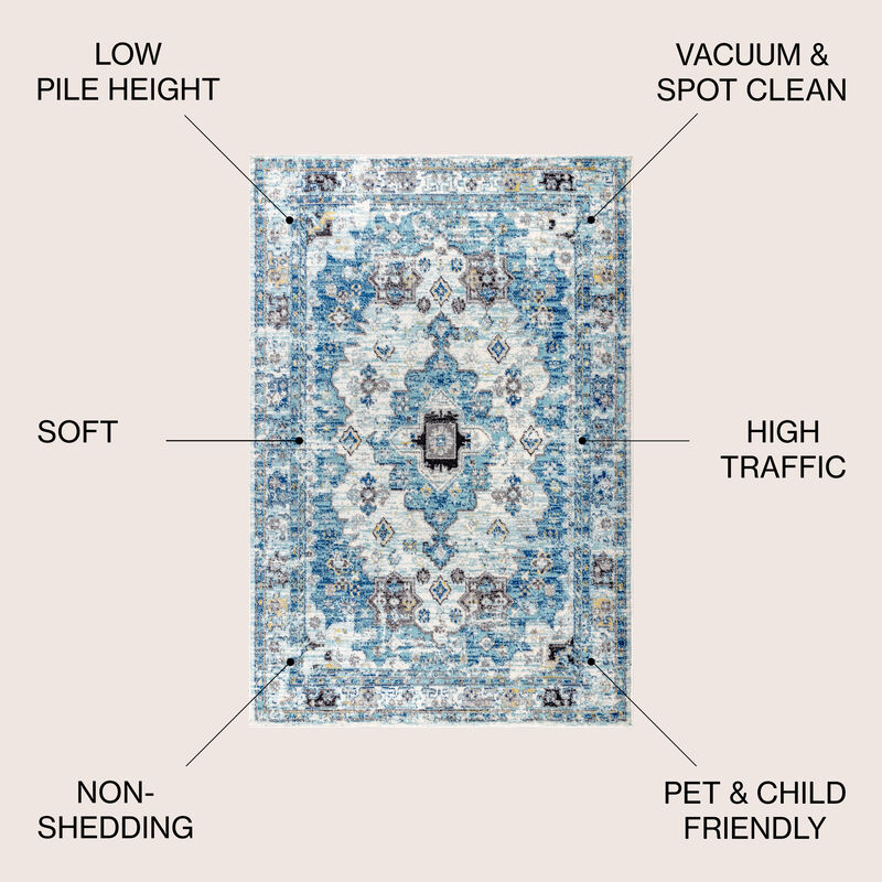 Modern Persian Boho Vintage Medallion Area Rug