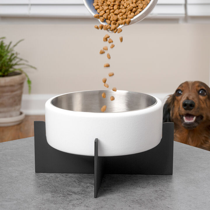 Intersecta Concrete and Stainless Steel Bowl 16oz (2 Cups) with Metal Stand Pet Feeder