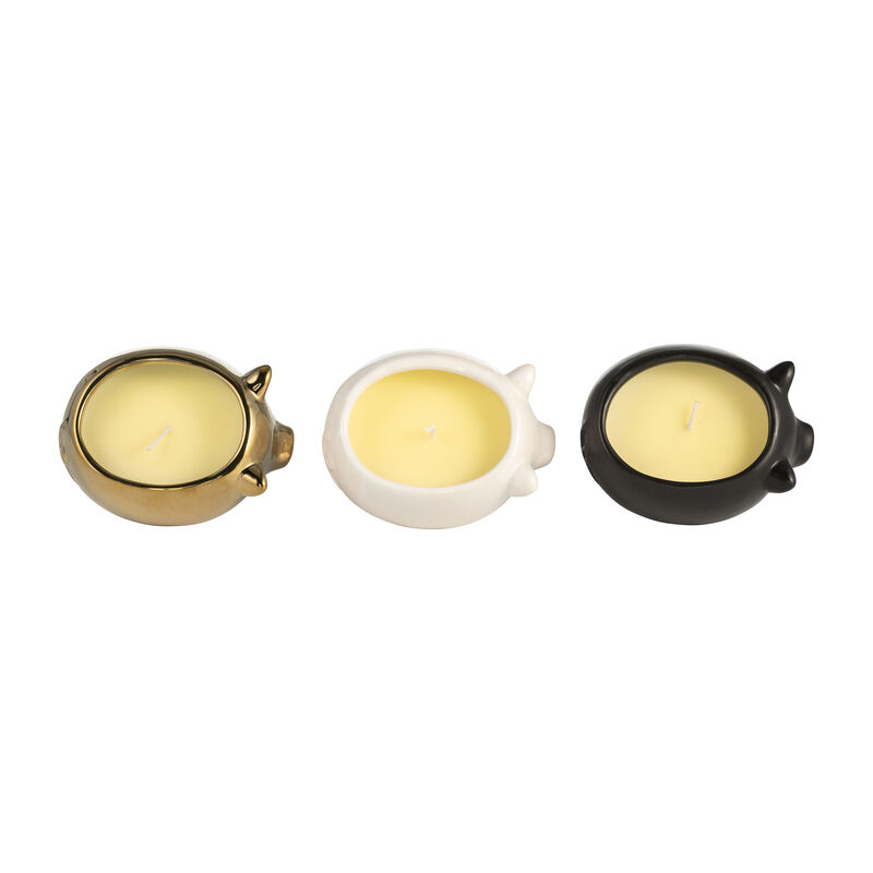S/3 Vanilla Sandalwood Candle image number 5