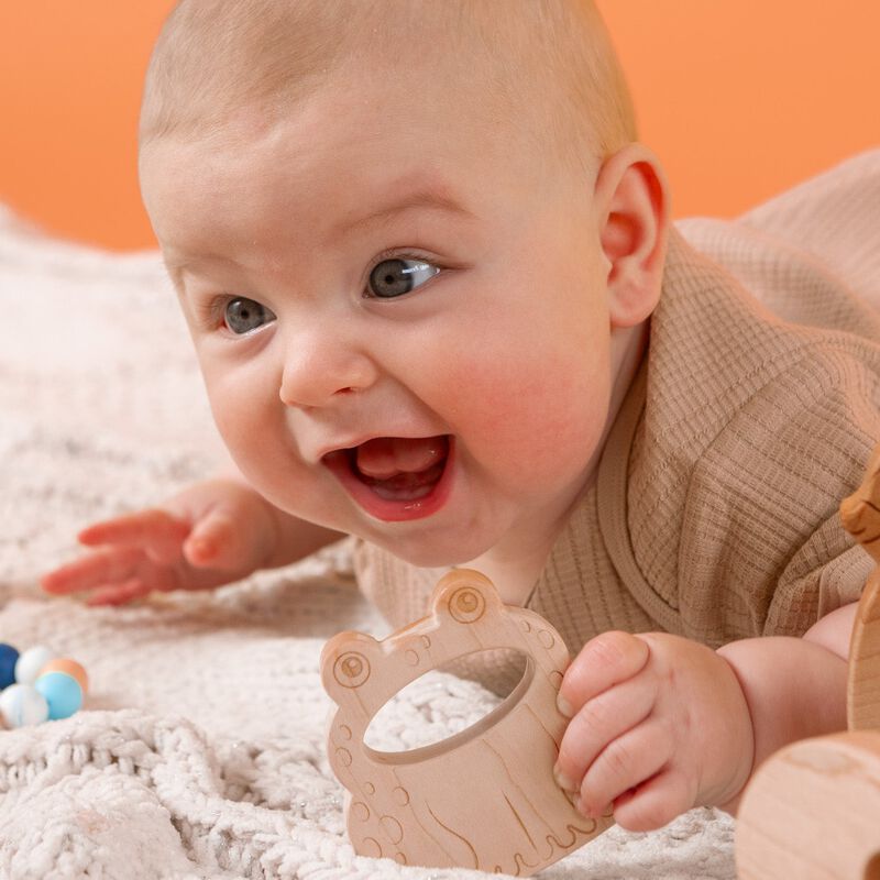 Soothing Frog Teether with Organic Cotton Bag image number 1
